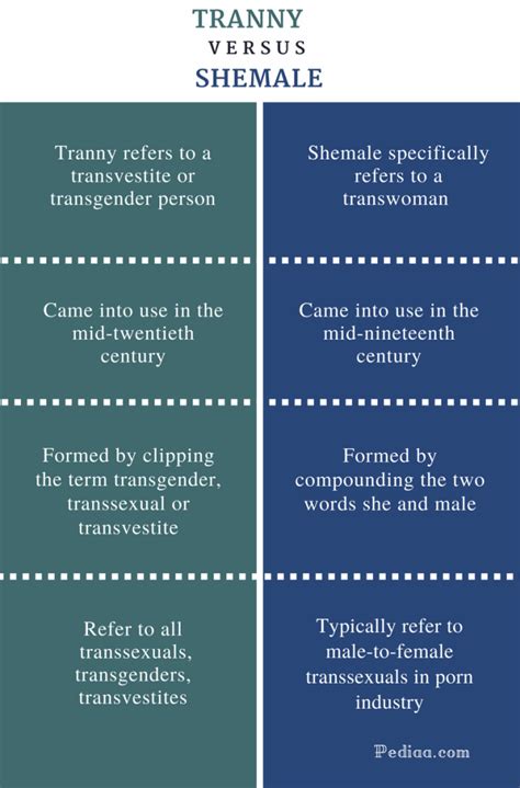 shemale|Shemale Definition & Meaning